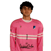 Hockey Hockeyfield Sticker by Club Junior 1917