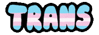 Trans Rights Sticker
