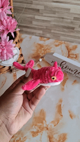giphy.gif