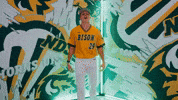 Sam Anderson Baseball GIF by NDSU Athletics