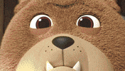 Angry Cat GIF by HangryPetz