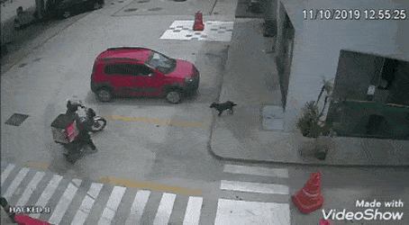 GifsUniverse giphyupload GIF