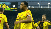 Premier League Soccer GIF by Watford Football Club