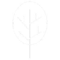 Fall Tree Sticker