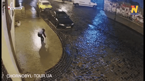 vernemexico giphygifmaker GIF