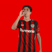 Celebrating Happy Birthday GIF by Bayer 04 Leverkusen