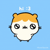 Good Morning Hello GIF