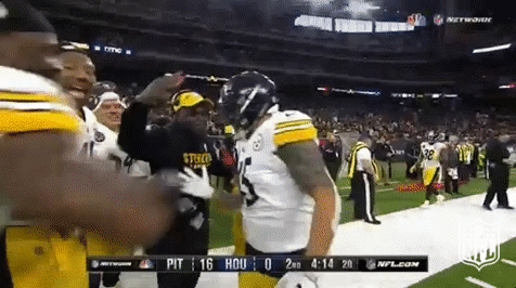 Pittsburgh Steelers Football GIF by NFL