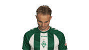 Look Up Werder Bremen Sticker by Bundesliga