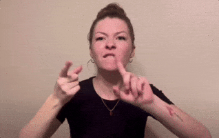 Friends Asl GIF