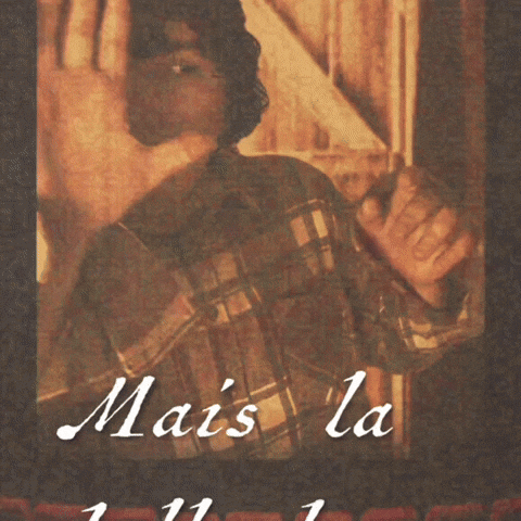 Mais La Belle Dame GIF by Rodriw Castel