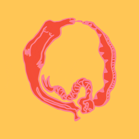gizemoktay giphyupload GIF