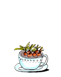 blossomzine fiori tazza blossomzine blossom zine Sticker