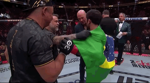 Mixed Martial Arts Sport GIF by UFC