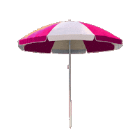 Music Festival Pink Sticker by Baja Beach Fest
