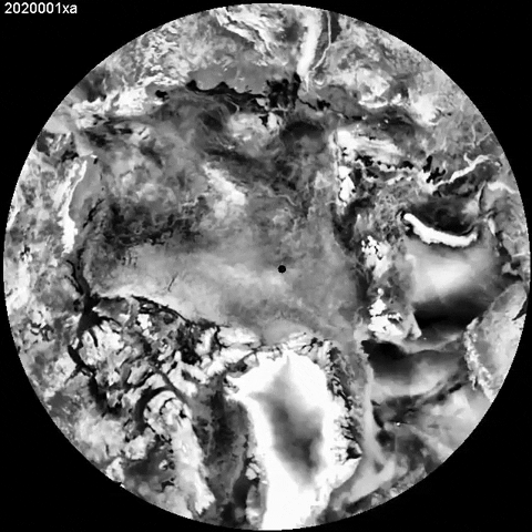 johnm33 giphyupload GIF