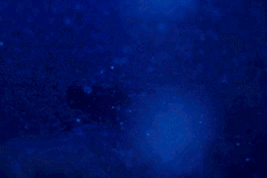 samgurry animation car blue mustang GIF