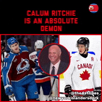 New York Islanders Hockey GIF