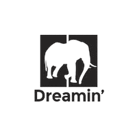 Skateboard Sticker by Dreamin Skates