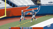 Regular Season Football GIF by NFL