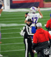 Happy Buffalo Bills GIF by NFL