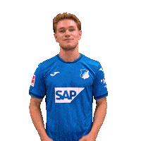 Sport Bundesliga Sticker by TSG Hoffenheim