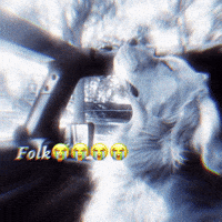 Folk Dog Meme GIF