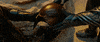 four horsemen magneto GIF by X-Men Movies