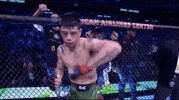 Mixed Martial Arts Sport GIF by UFC