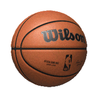 Wilson Sporting Goods Basketball Sticker by Wilson Football