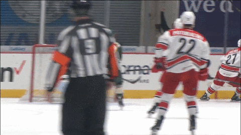 happy hockey GIF by Charlotte Checkers