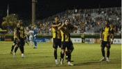 Black And Yellow Soccer GIF by Charleston Battery