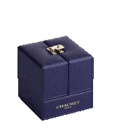 Jewellery Treat Yourself Sticker by chaumet