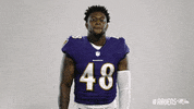 Pump Up Football GIF by Baltimore Ravens