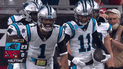 Cam Newton Football GIF by Carolina Panthers