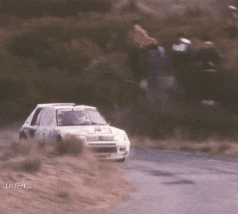 Driving Group B GIF by FIA World Rally Championship