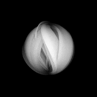 xponentialdesign black and white abstract gift free GIF