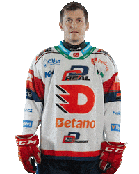 Lukas Radil Hockey Sticker by HC Dynamo Pardubice