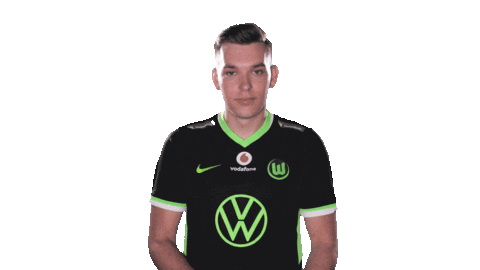 E Sports Sport Sticker by VfL Wolfsburg