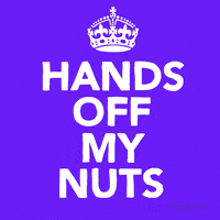 Animation Domination Fox GIF by gifnews