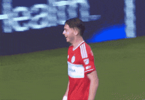 Chicago Fire Sport GIF by Major League Soccer
