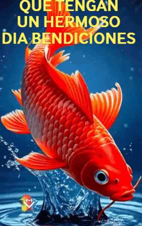 Dia Mar GIF by Murcianys LLC