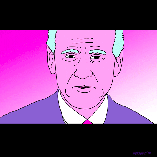 Joe Biden Fox GIF by gifnews