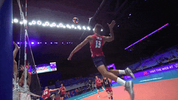 GIF by Volleyball World