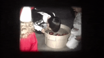 scottok halloween home movies GIF