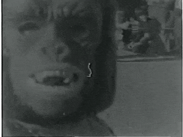 scottok halloween home movies GIF