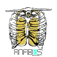 ANFIBIOSIBIZA diver divemaster anfibio anfibios Sticker