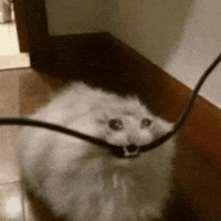 Cable Biting GIF