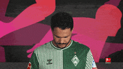 Werder Bremen Football GIF by Bundesliga