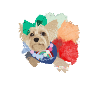 HoneyBooDesigns fashion rainbow doglover cutedog Sticker